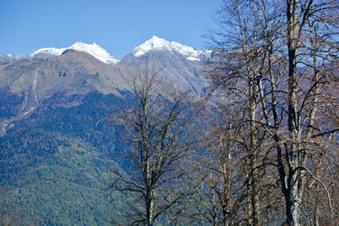 Similar image 21765321