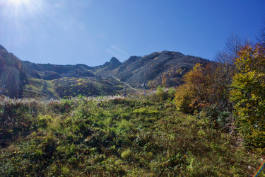 Similar image 21765351