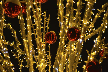 Similar image 21764865