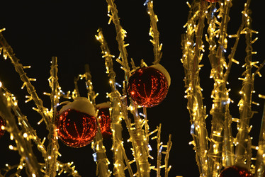 Similar image 21764866