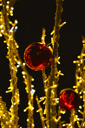 Similar image 21764867