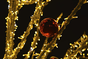 Similar image 21764868