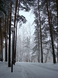 Similar image 21764869