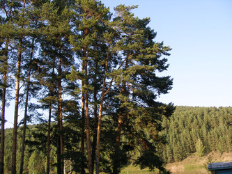 Similar image 21764870