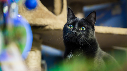 Similar image 21765363