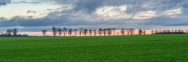 Similar image 21765367