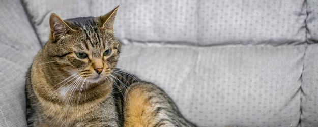 Similar image 21765369