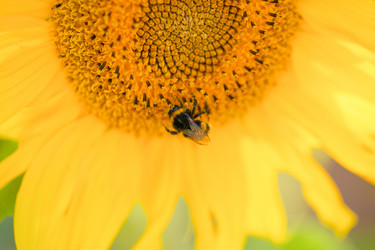 Similar image 21765371