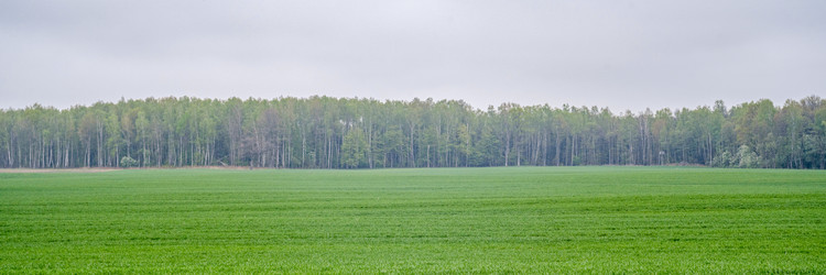 Similar image 21765372