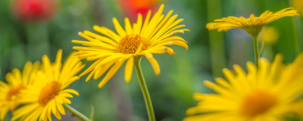 Similar image 21765373