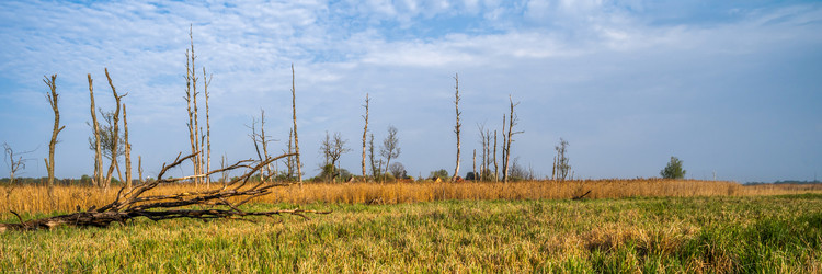 Similar image 21765374