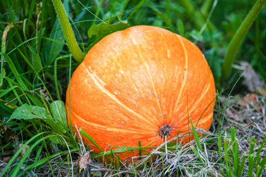 Similar image 21765375