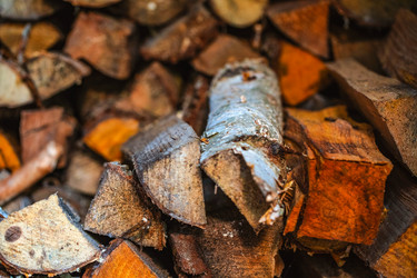 Similar image 21765376