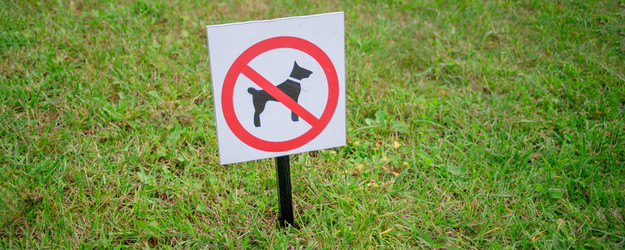 Similar image 21765379