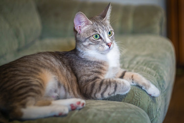 Similar image 21765381