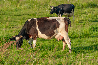 Similar image 21765382