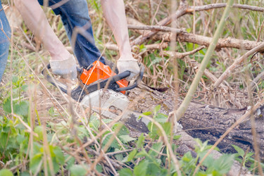 Similar image 21765385