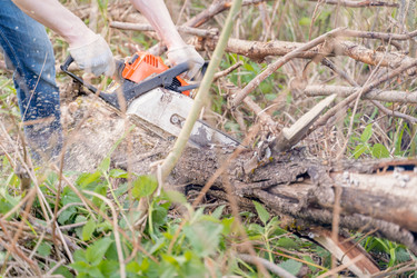 Similar image 21765386