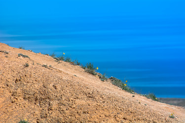 Similar image 21765513