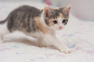 Similar image 21765517