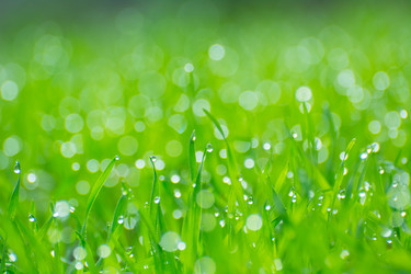 Similar image 21765518