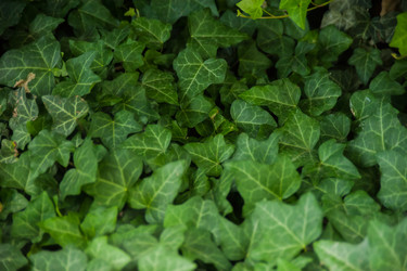 Similar image 21765520