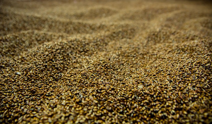 Similar image 21765530