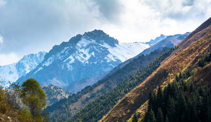 Similar image 21765533