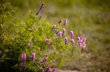 Similar image 21765534