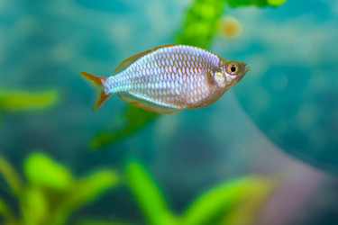 Similar image 21765537