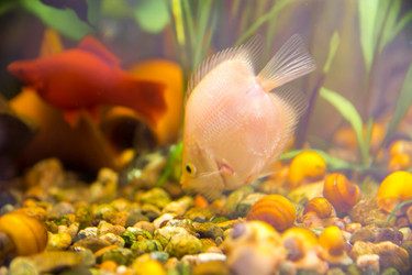 Similar image 21765539