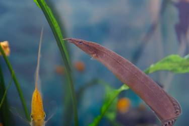 Similar image 21765541