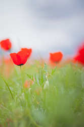 Similar image 21765545