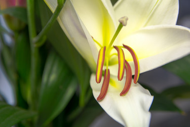 Similar image 21765546