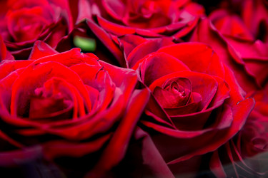 Similar image 21765547