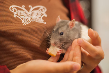 Similar image 21765558