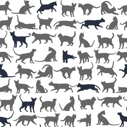 Similar image 21765560