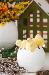 Similar image 21765143