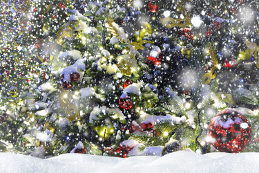 Similar image 21766496