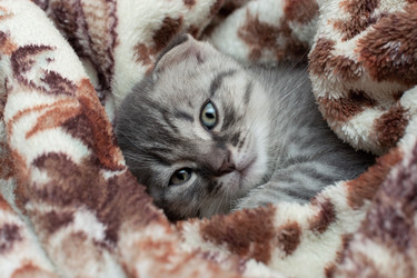 Similar image 21766499