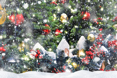 Similar image 21765013