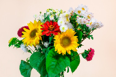 Similar image 21766504