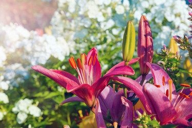 Similar image 21766121