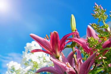 Similar image 21766506