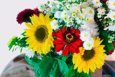 Similar image 21766123