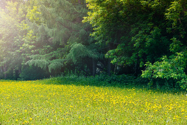 Similar image 21766127