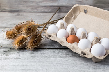 Similar image 21764883