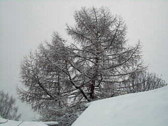 Similar image 21764897