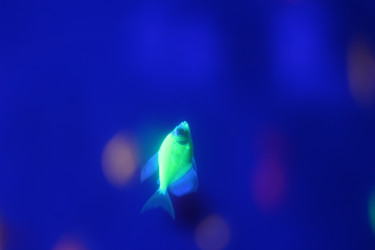 Similar image 21764901