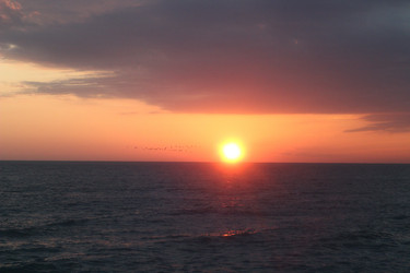 Similar image 21764902